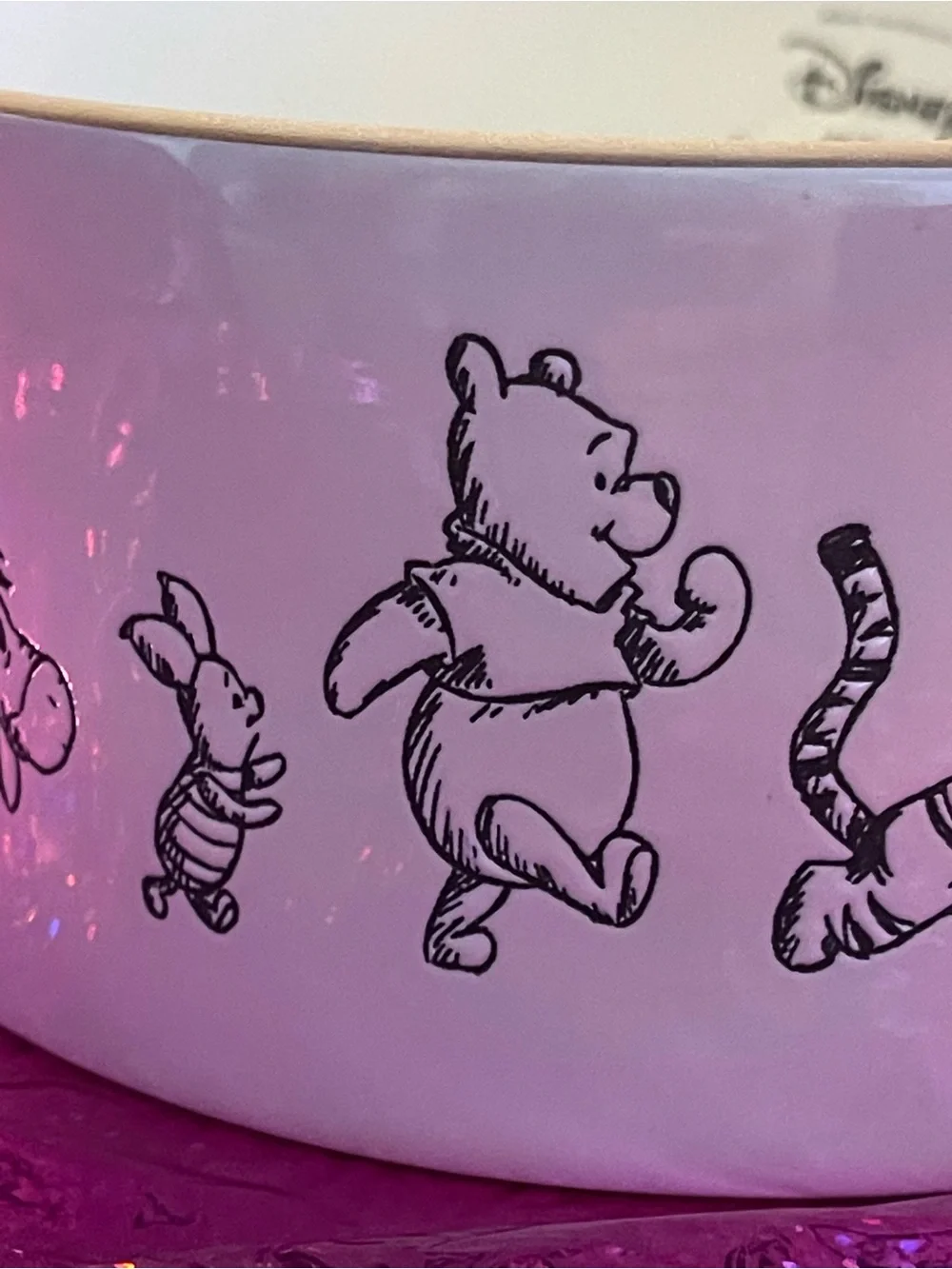 Rae Dunn Disney Winnie the Pooh & Friends White Pet Bowl with Black etched New!